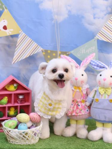 20240331うるちゃん